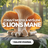 AKCE 1+1 balení ZDARMA Lions mane na mozek a paměť