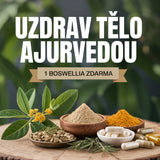 1+1 ZDARMA Boswellia Serrata