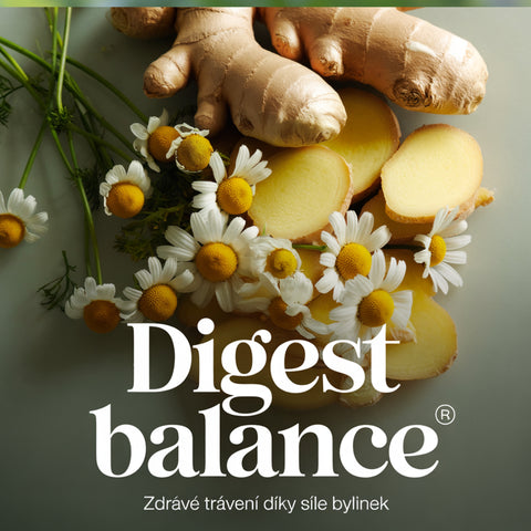 1+1 ZDARMA: Stop nafouknutému břichu, bylinky pro zdravé trávení