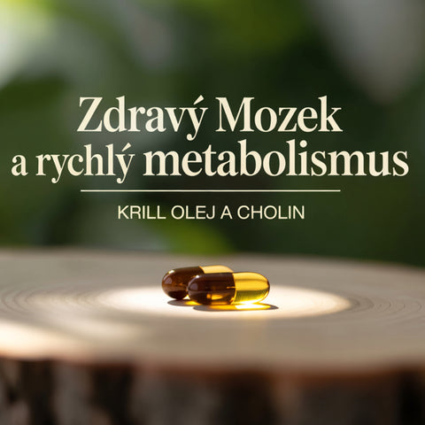 1 ZDARMA: Krill olej a cholin pro zdravý mozek, srdce a rychlejší metabolismus