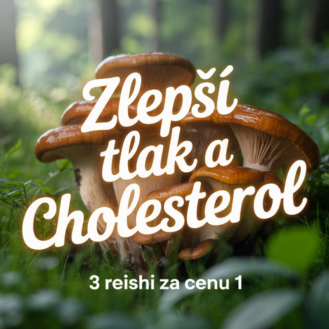 3 balenia Reishi premium za cenu 1