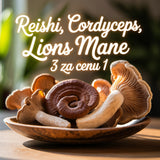 3 medicinální houby za cenu 1: Reishi, Cordyceps, Lions mane